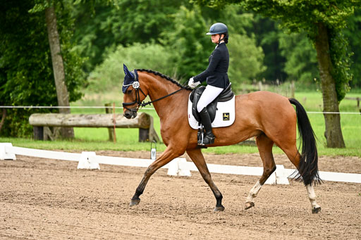 Goldene Schärpe Pferfde in Löningen 2026 | 12062026Dressur B _0744 