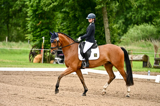 Goldene Schärpe Pferfde in Löningen 2026 | 12062026Dressur B _0745 