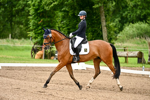 Goldene Schärpe Pferfde in Löningen 2026 | 12062026Dressur B _0746 