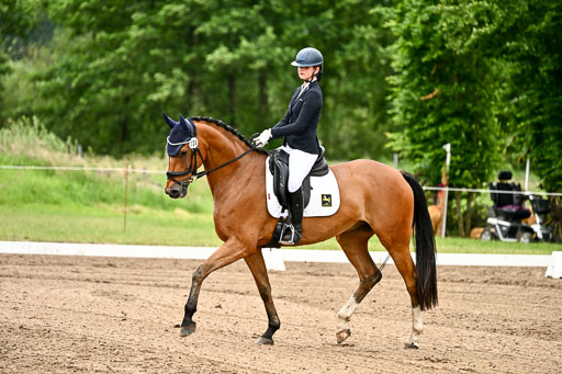 Goldene Schärpe Pferfde in Löningen 2026 | 12062026Dressur B _0747 