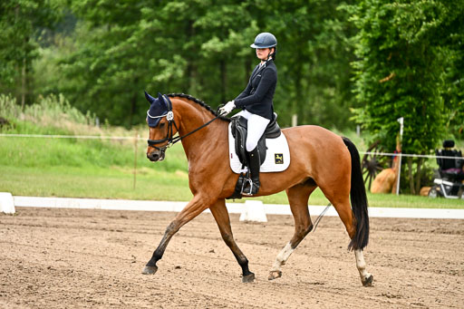 Goldene Schärpe Pferfde in Löningen 2026 | 12062026Dressur B _0748 