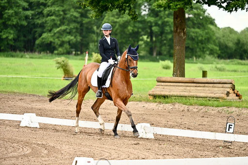Goldene Schärpe Pferfde in Löningen 2026 | 12062026Dressur B _0750 
