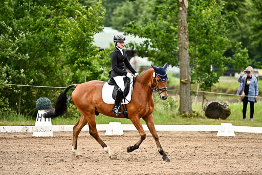 Goldene Schärpe Pferfde in Löningen 2026 | 12062026Dressur B _0751 