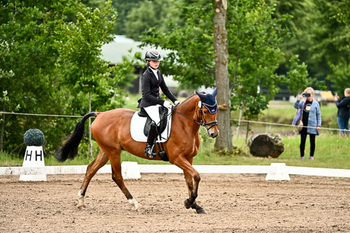 Goldene Schärpe Pferfde in Löningen 2026 | 12062026Dressur B _0752 
