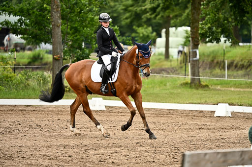 Goldene Schärpe Pferfde in Löningen 2026 | 12062026Dressur B _0753 