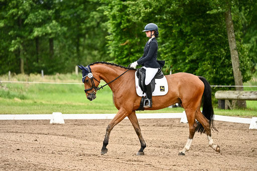 Goldene Schärpe Pferfde in Löningen 2026 | 12062026Dressur B _0755 