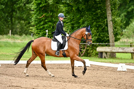 Goldene Schärpe Pferfde in Löningen 2026 | 12062026Dressur B _0757 