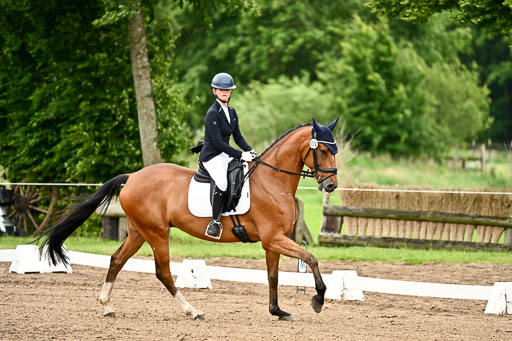 Goldene Schärpe Pferfde in Löningen 2026 | 12062026Dressur B _0758 