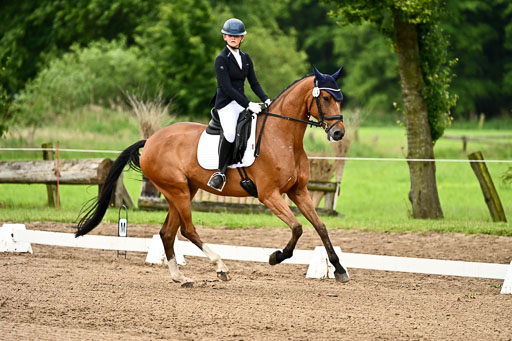 Goldene Schärpe Pferfde in Löningen 2026 | 12062026Dressur B _0759 