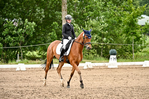 Goldene Schärpe Pferfde in Löningen 2026 | 12062026Dressur B _0761 