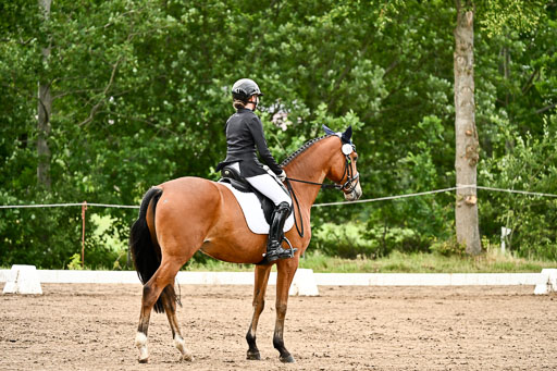 Goldene Schärpe Pferfde in Löningen 2026 | 12062026Dressur B _0762 