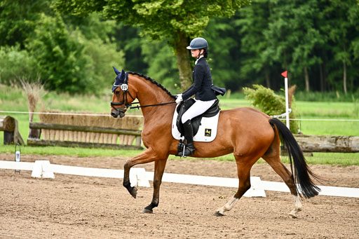 Goldene Schärpe Pferfde in Löningen 2026 | 12062026Dressur B _0763 