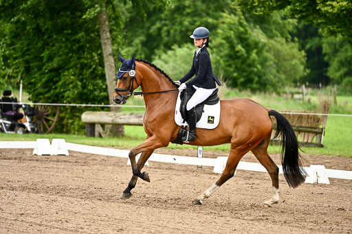 Goldene Schärpe Pferfde in Löningen 2026 | 12062026Dressur B _0764 