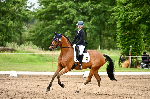 Goldene Schärpe Pferfde in Löningen 2026 | 12062026Dressur B _0765 