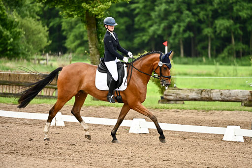 Goldene Schärpe Pferfde in Löningen 2026 | 12062026Dressur B _0766 