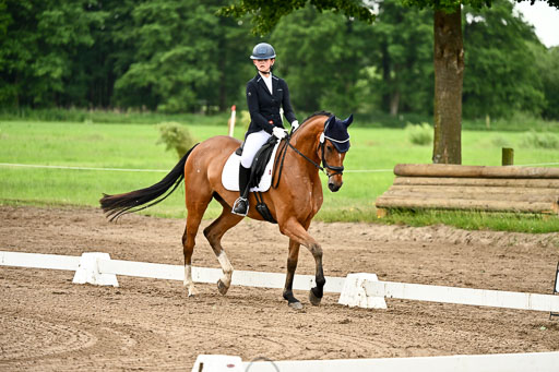 Goldene Schärpe Pferfde in Löningen 2026 | 12062026Dressur B _0767 