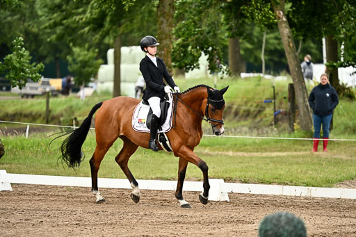 Goldene Schärpe Pferfde in Löningen 2026 | 12062026Dressur B _0768 