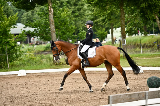 12062026Dressur-B-_0769.jpg