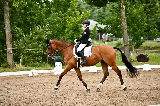 Goldene Schärpe Pferfde in Löningen 2026 | 12062026Dressur B _0770 