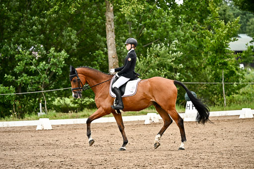 Goldene Schärpe Pferfde in Löningen 2026 | 12062026Dressur B _0771 