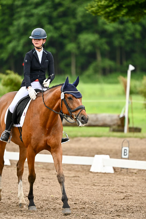 Goldene Schärpe Pferfde in Löningen 2026 | 12062026Dressur B _0772 