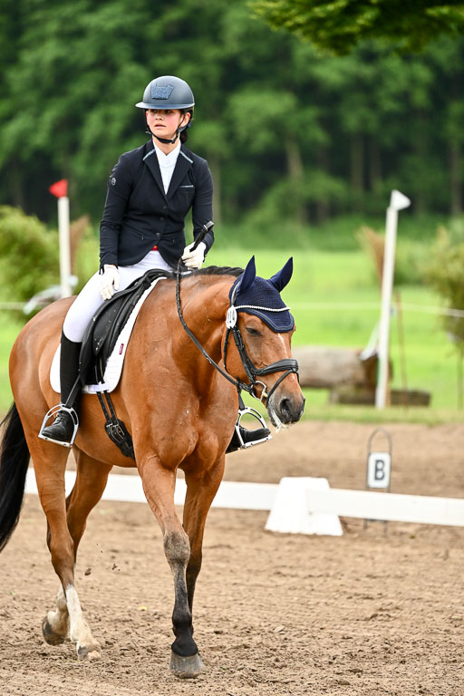 Goldene Schärpe Pferfde in Löningen 2026 | 12062026Dressur B _0773 