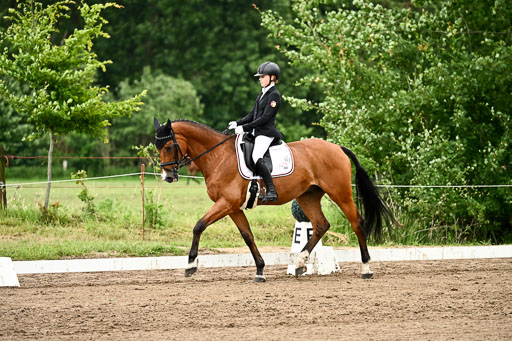 Goldene Schärpe Pferfde in Löningen 2026 | 12062026Dressur B _0775 