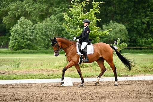 Goldene Schärpe Pferfde in Löningen 2026 | 12062026Dressur B _0776 