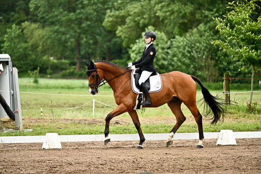 Goldene Schärpe Pferfde in Löningen 2026 | 12062026Dressur B _0777 