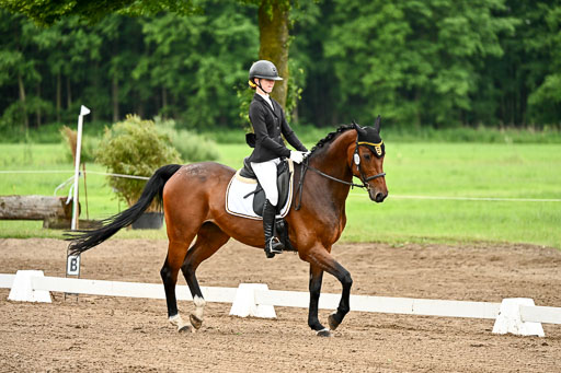 Goldene Schärpe Pferfde in Löningen 2026 | 12062026Dressur B _0778 
