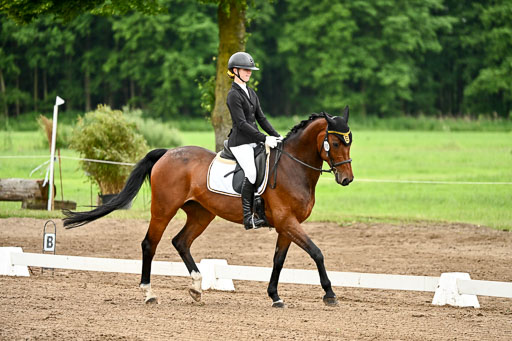Goldene Schärpe Pferfde in Löningen 2026 | 12062026Dressur B _0779 