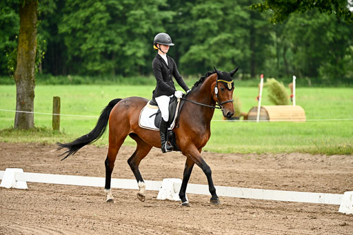 Goldene Schärpe Pferfde in Löningen 2026 | 12062026Dressur B _0780 