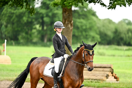 Goldene Schärpe Pferfde in Löningen 2026 | 12062026Dressur B _0781 