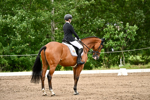 Goldene Schärpe Pferfde in Löningen 2026 | 12062026Dressur B _0782 