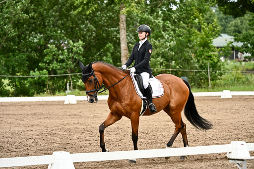 Goldene Schärpe Pferfde in Löningen 2026 | 12062026Dressur B _0784 
