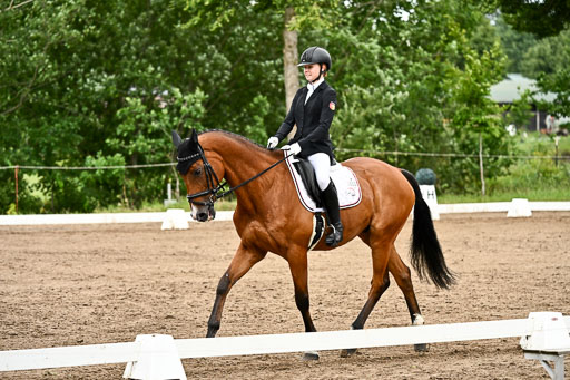 Goldene Schärpe Pferfde in Löningen 2026 | 12062026Dressur B _0785 