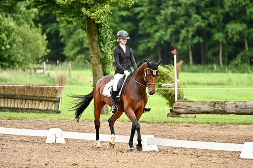 Goldene Schärpe Pferfde in Löningen 2026 | 12062026Dressur B _0786 