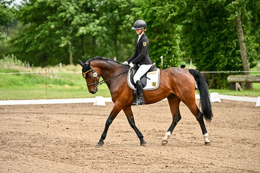 Goldene Schärpe Pferfde in Löningen 2026 | 12062026Dressur B _0789 