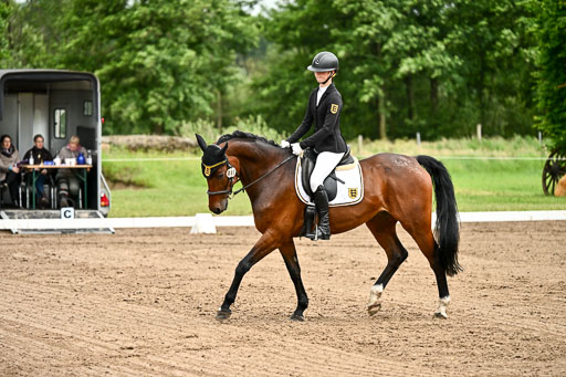 Goldene Schärpe Pferfde in Löningen 2026 | 12062026Dressur B _0790 