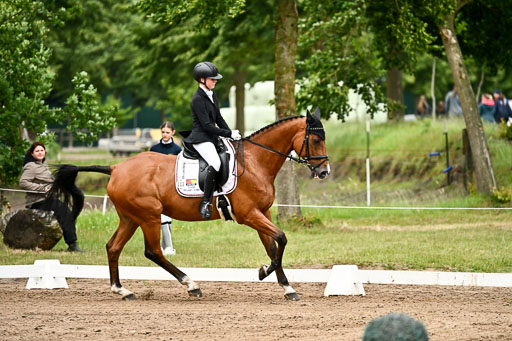 Goldene Schärpe Pferfde in Löningen 2026 | 12062026Dressur B _0791 