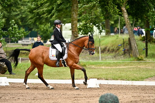 Goldene Schärpe Pferfde in Löningen 2026 | 12062026Dressur B _0792 