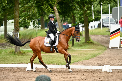 Goldene Schärpe Pferfde in Löningen 2026 | 12062026Dressur B _0793 