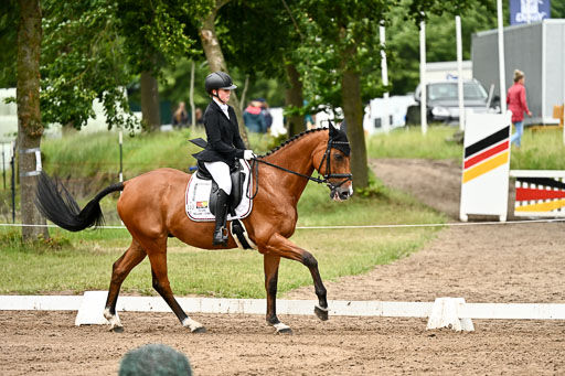 Goldene Schärpe Pferfde in Löningen 2026 | 12062026Dressur B _0794 