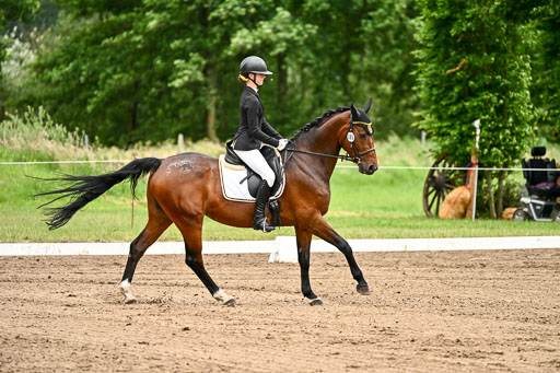 Goldene Schärpe Pferfde in Löningen 2026 | 12062026Dressur B _0795 