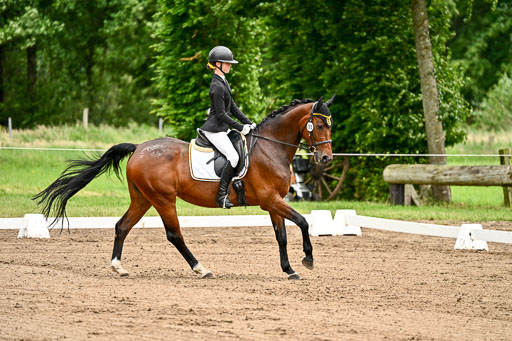 Goldene Schärpe Pferfde in Löningen 2026 | 12062026Dressur B _0796 
