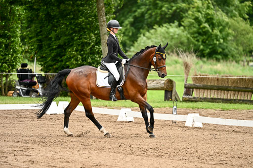 Goldene Schärpe Pferfde in Löningen 2026 | 12062026Dressur B _0797 
