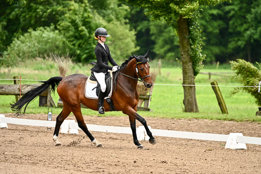 Goldene Schärpe Pferfde in Löningen 2026 | 12062026Dressur B _0798 