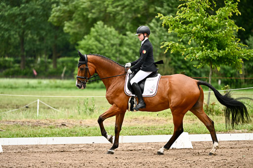 Goldene Schärpe Pferfde in Löningen 2026 | 12062026Dressur B _0799 