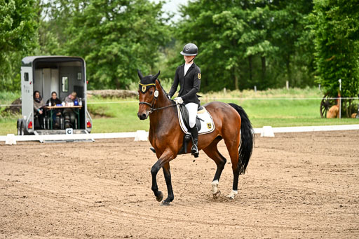 Goldene Schärpe Pferfde in Löningen 2026 | 12062026Dressur B _0800 