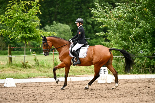 Goldene Schärpe Pferfde in Löningen 2026 | 12062026Dressur B _0801 